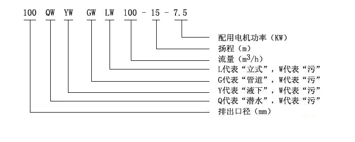 QW1.jpg